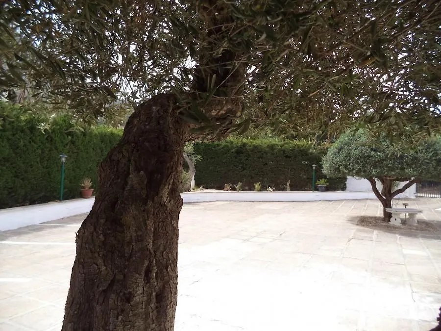 Bed & Breakfast B&B Oltremare San Vito Lo Capo Italy